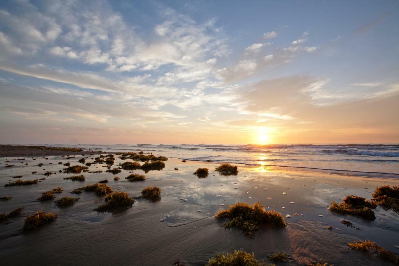 Campeche Cove #1 Hotel South Padre Island Luaran gambar